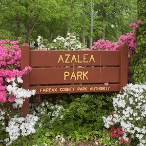 Picnic and Meeting in the Park June 21st 2025 @ 6:00 PM